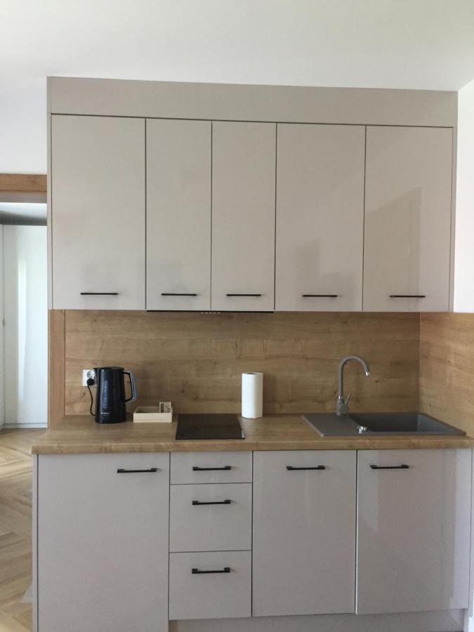 אוסטרוני מורסקי Apartamenty Julia Apartamenty Ozonowane מראה חיצוני תמונה
