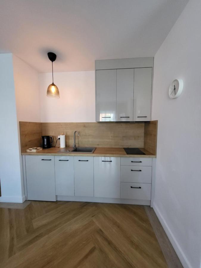 אוסטרוני מורסקי Apartamenty Julia Apartamenty Ozonowane מראה חיצוני תמונה